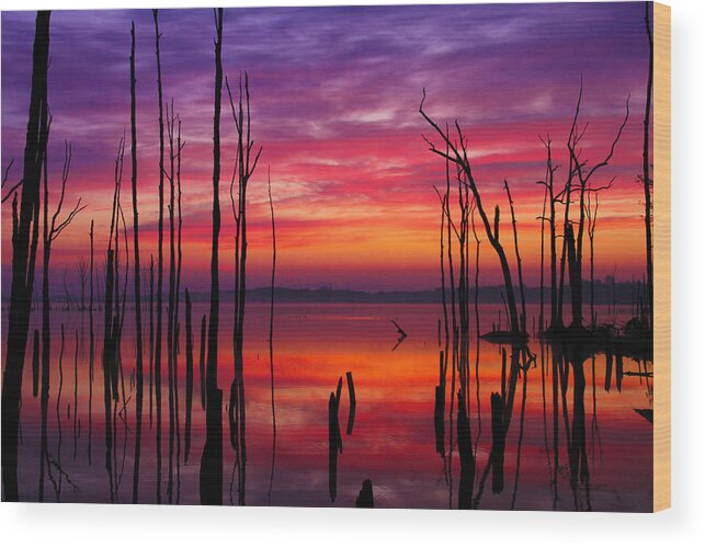 Landscape Wood Print featuring the photograph Reservoir at Sunrise by Roger Becker