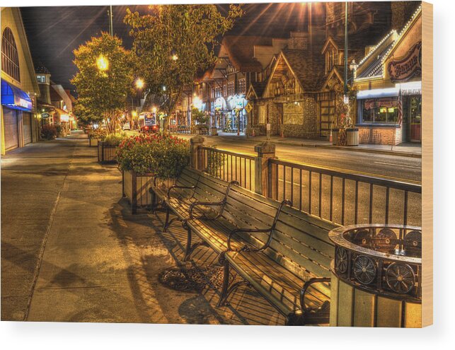 Gatlinburg Wood Print featuring the photograph Rest Stop by Greg and Chrystal Mimbs