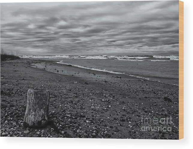 Lake Superior Shoreline Wood Print featuring the photograph Resting Place by Dan Hefle