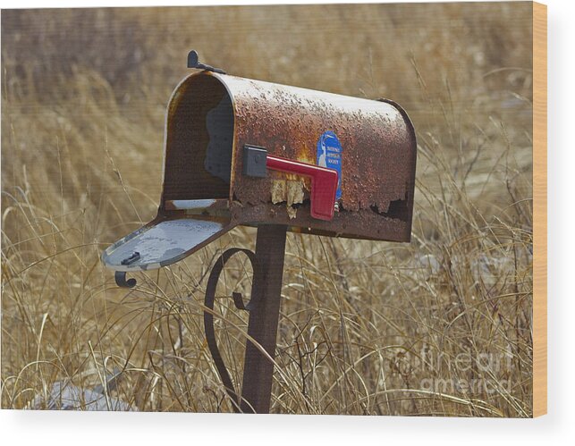 Mailbox Wood Print featuring the photograph Return to Sender by Alice Mainville