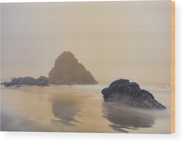 Pacific Ocean Wood Print featuring the photograph Reverie by Adam Mateo Fierro