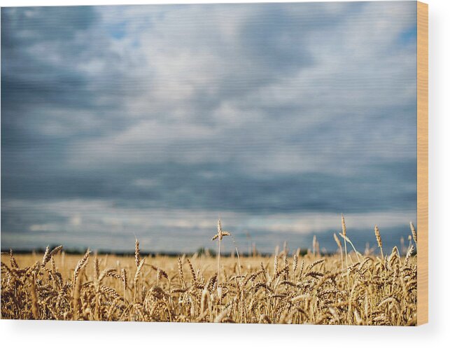 Scenics Wood Print featuring the photograph Rey Field And Dark Sky by A. Aleksandravicius
