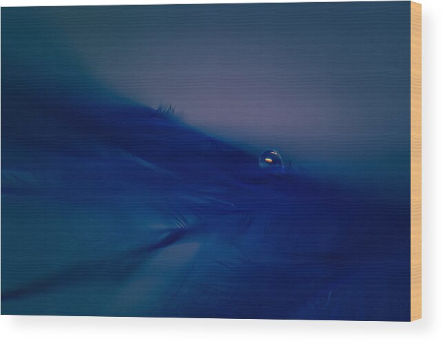 Abstract Wood Print featuring the photograph Rhapsody in Blue by Lauri Novak