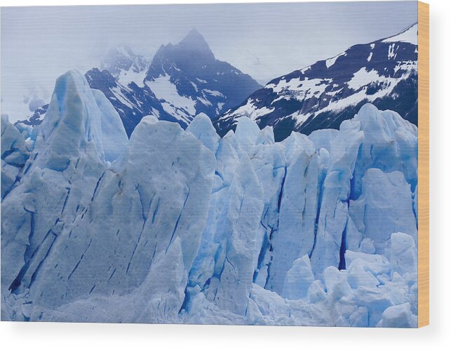 Argentina Wood Print featuring the photograph Rhapsody in Blue by Michele Burgess