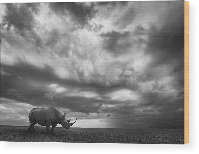 Rhino Wood Print featuring the photograph Rhino Land by Mario Moreno