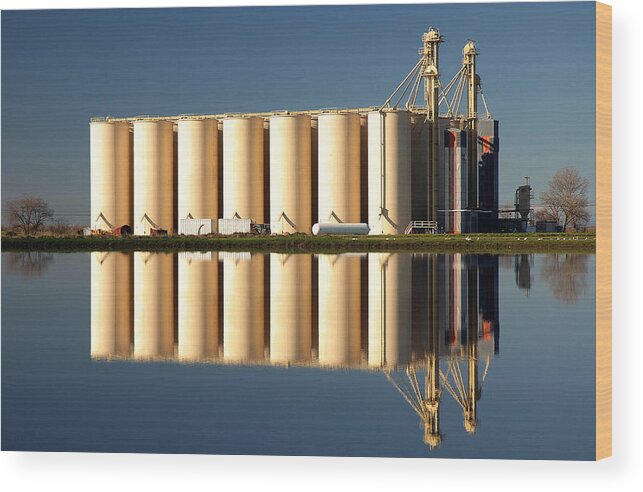 Agriculture Wood Print featuring the photograph Rice Silos And Flooded Rice Field by Theodore Clutter