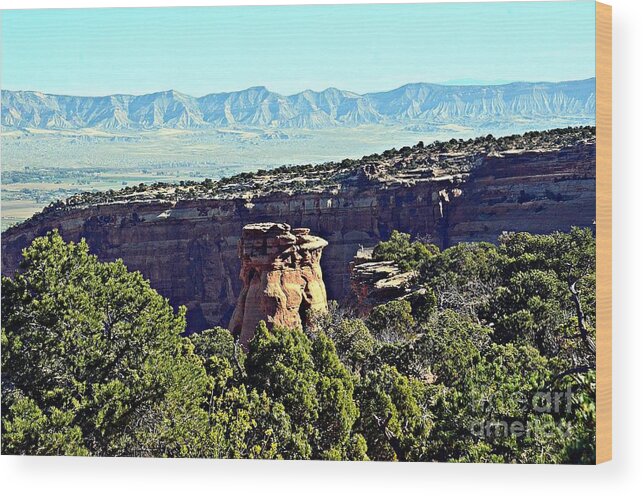 Rim Rock Wood Print featuring the photograph Rim Rock Scenic Lookout by Randy J Heath