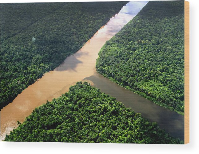 Tranquility Wood Print featuring the photograph Rio Amazonas by Ricardo Lima