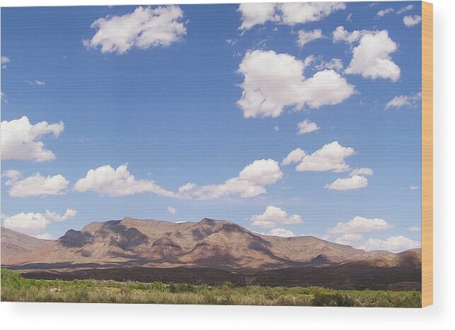 Mountains Wood Print featuring the photograph Rio Grande by Jewels Hamrick