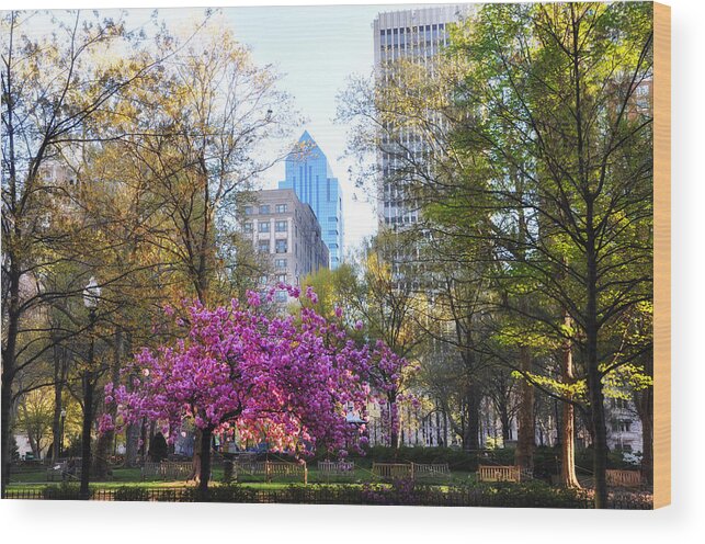 Rittenhouse Wood Print featuring the photograph Rittenhouse Square in Springtime by Bill Cannon