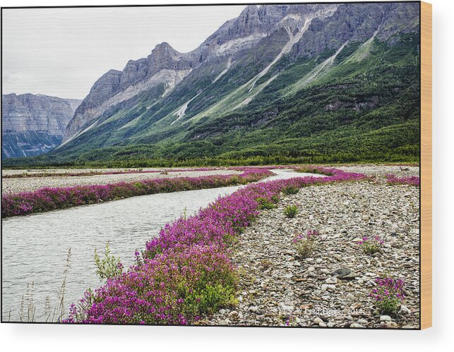 Wildflowers Wood Print featuring the photograph River Beauties by Fred Denner