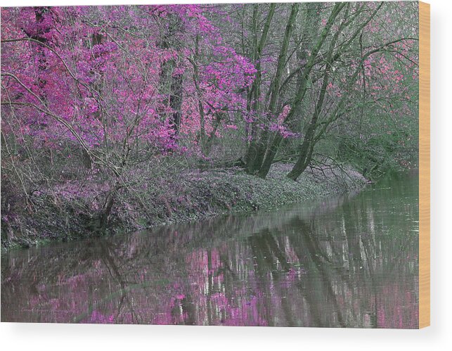River Wood Print featuring the photograph River of Pastel by Lorna Rose Marie Mills DBA Lorna Rogers Photography