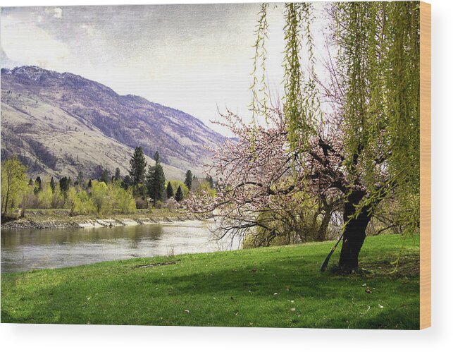Clouds Wood Print featuring the photograph River Spring by Kathy Bassett