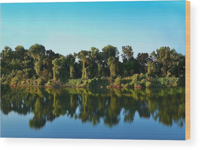 River Wood Print featuring the photograph River Trees Reflection by Marilyn MacCrakin