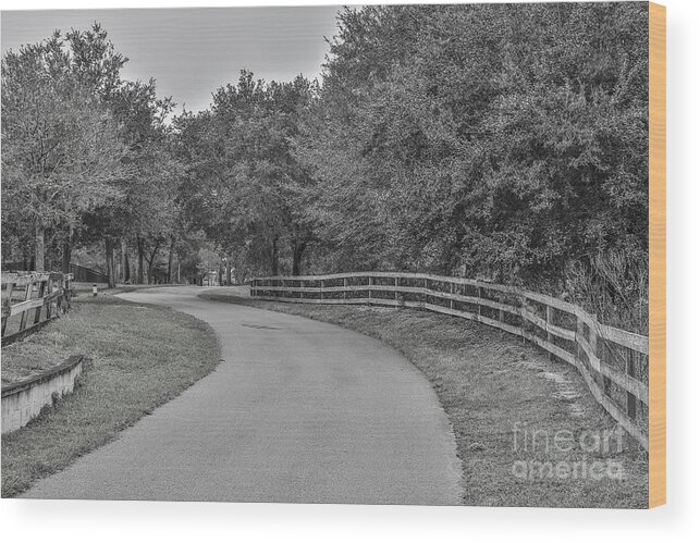 Road Path Wood Print featuring the photograph Road Path by Mina Isaac
