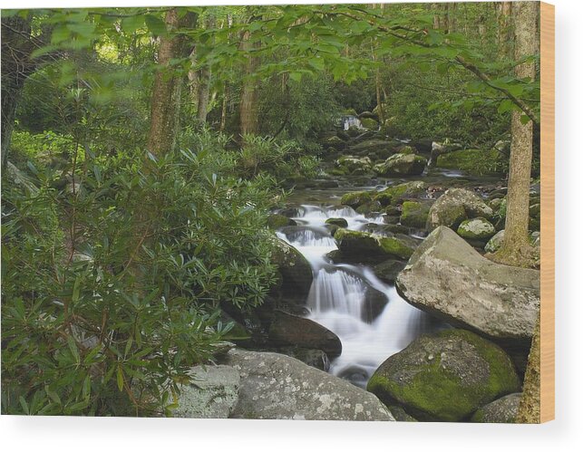 Art Prints Wood Print featuring the photograph Roaring Fork by Nunweiler Photography