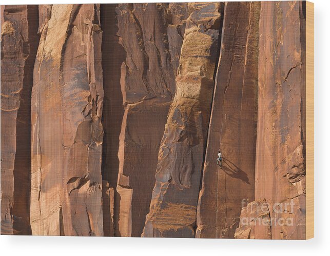 00559216 Wood Print featuring the photograph Rock Climber Indian Creek Utah by Yva Momatiuk and John Eastcott
