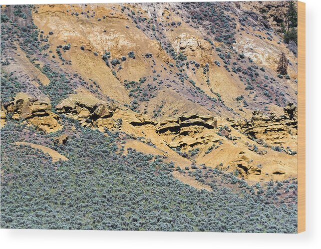 British Columbia Wood Print featuring the photograph Rock Formations and Sagebrush by Michael Russell