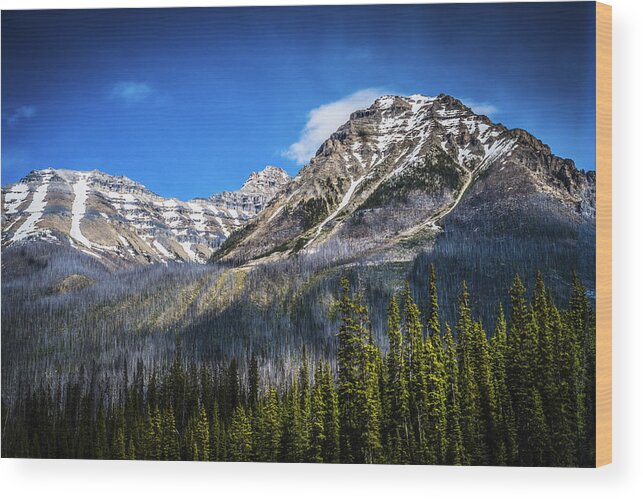 rocky Mountains Wood Print featuring the photograph Rocky Mountains Kootenay National Park by Rob Tullis