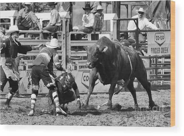 Bull Riding Wood Print featuring the photograph Rodeo Mexican Standoff by Bob Christopher