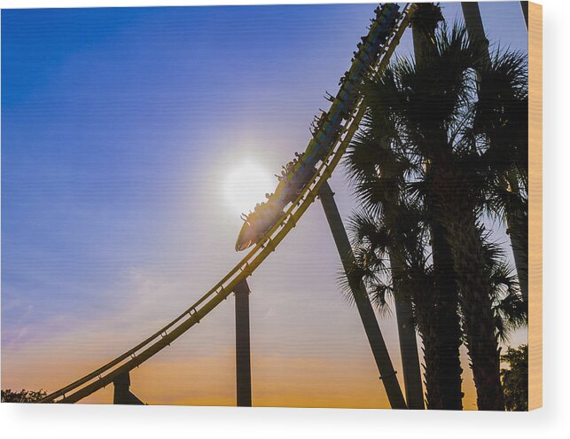 Roller Coaster Wood Print featuring the photograph Roller coaster by Daniel Murphy
