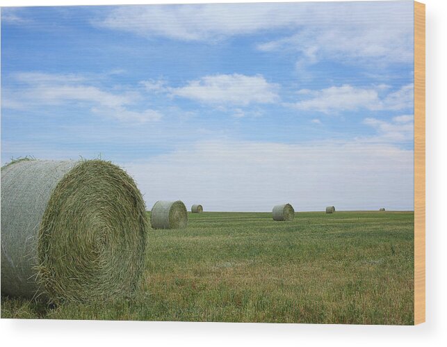 Hay Bales Photograph Wood Print featuring the photograph Rollin' Rollin' Rollin' by Jim Garrison