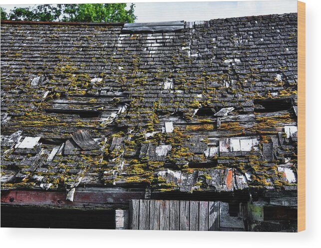Red Barns Wood Print featuring the photograph Roof top by David Matthews
