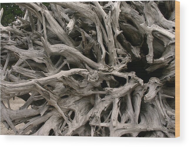 Roots Wood Print featuring the photograph Roots of a Fallen Tree I by Wendy Raatz Photography