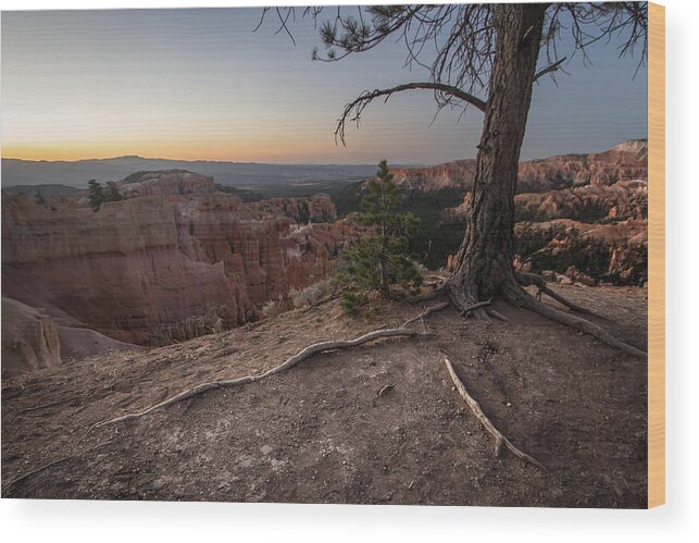 Bryce Wood Print featuring the photograph Roots on the Rim 1 by Dwight Theall