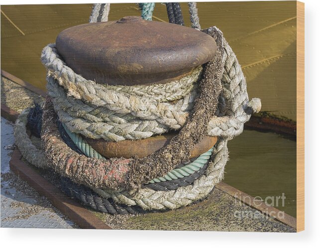 Aged Wood Print featuring the photograph Ropes by Patricia Hofmeester