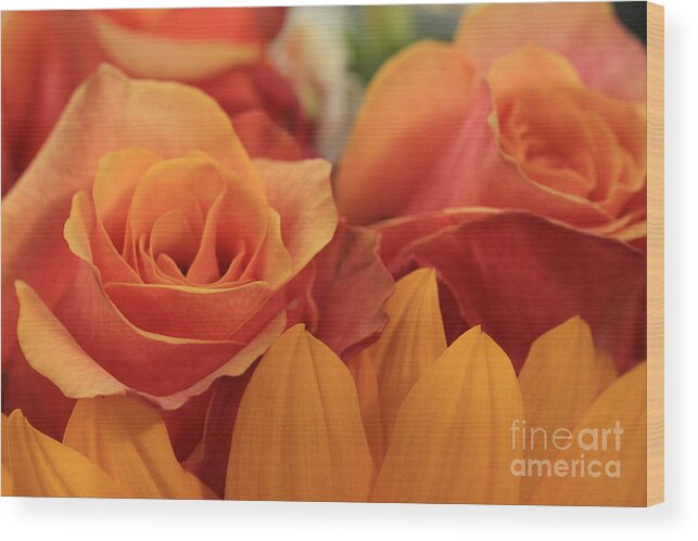 Rose Wood Print featuring the photograph Roses by Amanda Mohler