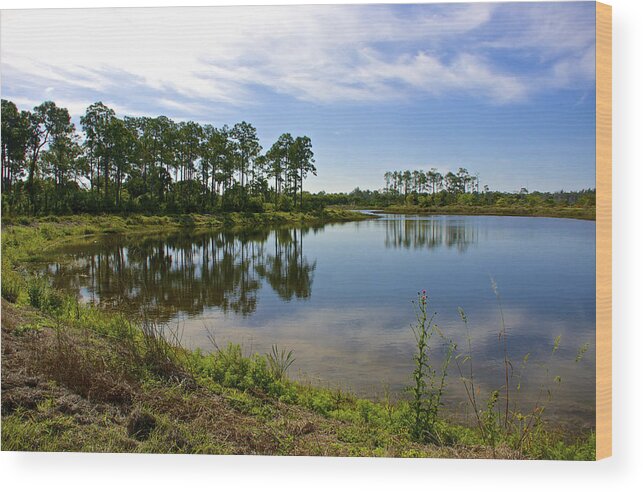Florida Wood Print featuring the photograph Rough Edges by Kathi Isserman