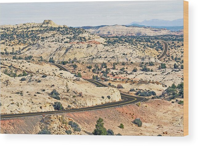  Wood Print featuring the photograph Route 12 - Utah by Dana Sohr