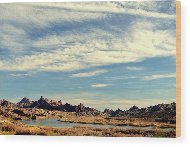 Mountain Range Wood Print featuring the photograph Route 66 Needles Mountain Range by Antonia Citrino