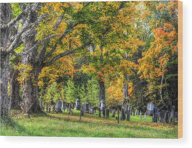 South Albany Vermont Wood Print featuring the photograph Rowell Cemetery by John Nielsen