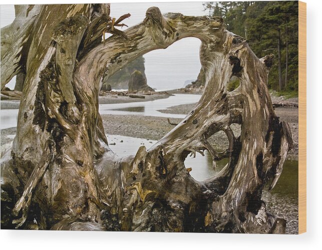 Ruby Beach Driftwood Iii Wood Print featuring the photograph Ruby Beach Driftwood #3 by Greg Reed