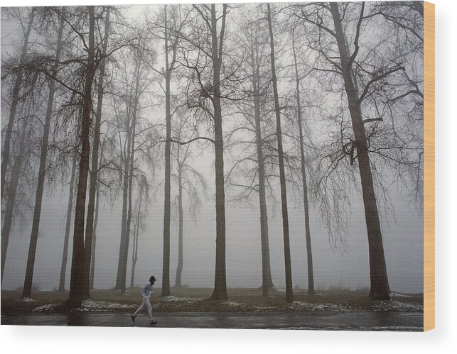 Exercise Wood Print featuring the photograph Runner along path in fog and cold with tall trees by Jim Corwin