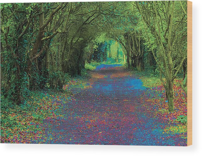 Footpath Photographs Wood Print featuring the photograph Rush Avenue by David Davies