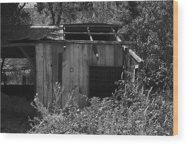 Rustic Wood Print featuring the photograph Rustic Shed 2 by Richard J Cassato