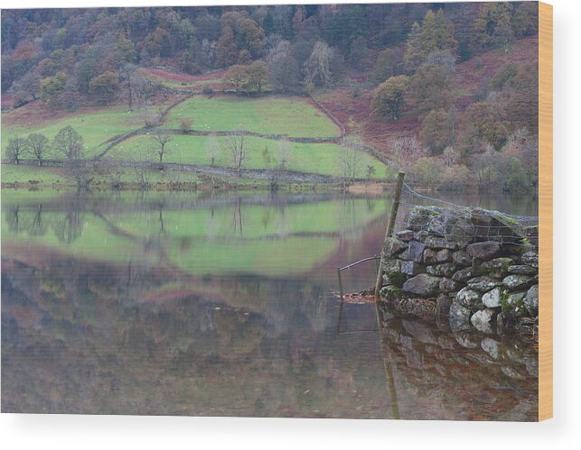 Rydal Water Wood Print featuring the photograph Rydal Reflections by Nick Atkin