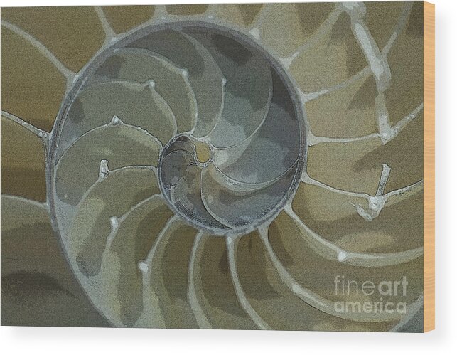Sacred Spiral Wood Print featuring the photograph Sacred Spiral 6 by Jeanette French