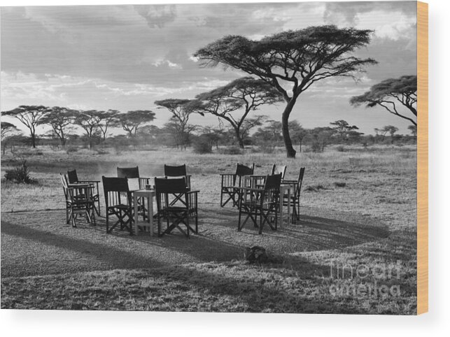 Acacia Tree Wood Print featuring the photograph Safari Campfire by Chris Scroggins