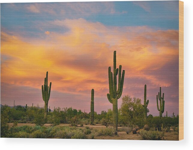 Saguaro Wood Print featuring the photograph Saguaro Desert Life by James BO Insogna