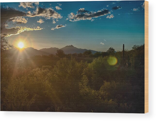 Tucson Wood Print featuring the photograph Saguaro National Park by Dan McManus