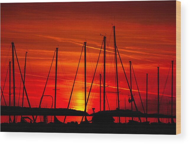  Boats Wood Print featuring the photograph Sail Silhouettes by Darren Bradley