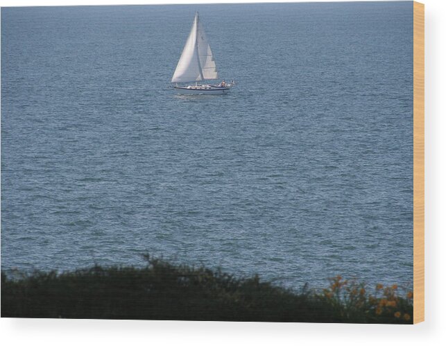 Water Wood Print featuring the photograph Sailboat on Lake Erie by Valerie Collins