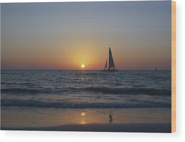  Clearwater Wood Print featuring the photograph Sailing at Sunset by Brian Kamprath