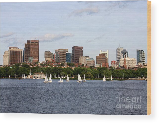 Boston Wood Print featuring the photograph Sailing in Boston by Jayne Carney