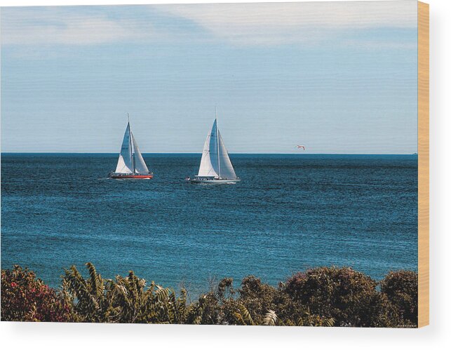 Ocean Scene Wood Print featuring the photograph Sailing Watch Hill RI by Tom Prendergast
