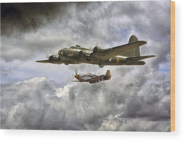 Sally B Wood Print featuring the photograph Sally B by Jason Green